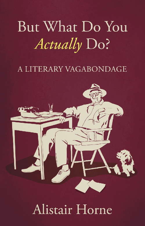 Book cover of But What Do You Actually Do?: A Literary Vagabondage