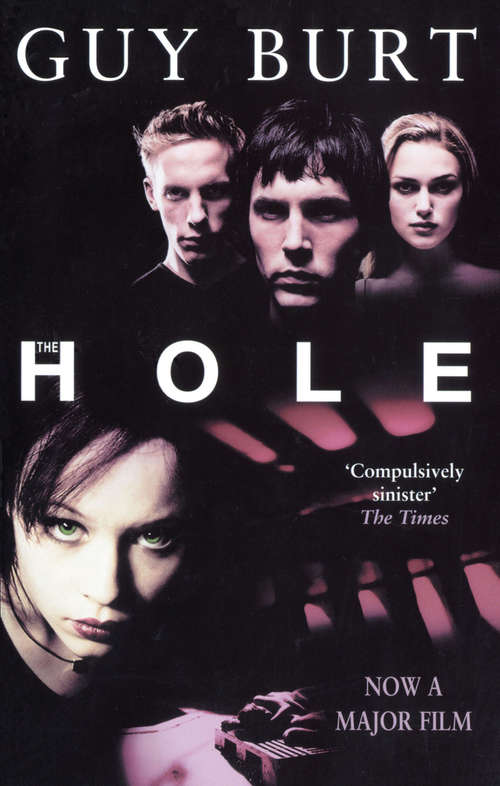 Book cover of The Hole