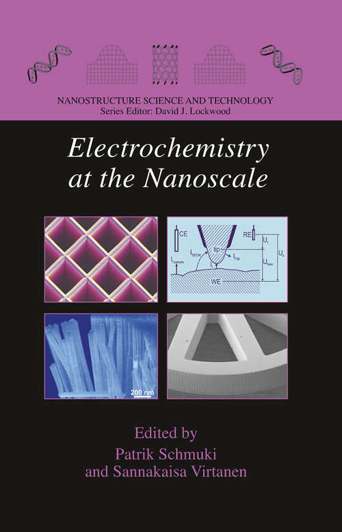 Book cover of Electrochemistry at the Nanoscale (2009) (Nanostructure Science and Technology)