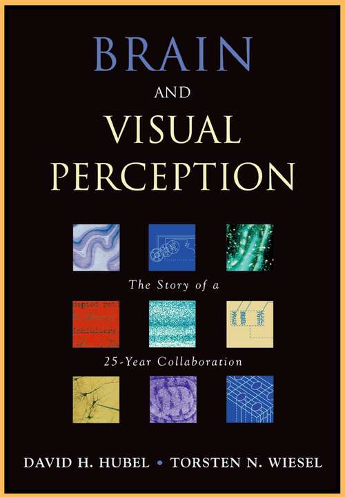 Book cover of Brain and Visual Perception: The Story of a 25-Year Collaboration