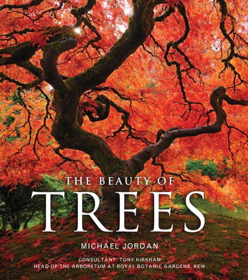 Book cover of The Beauty of Trees