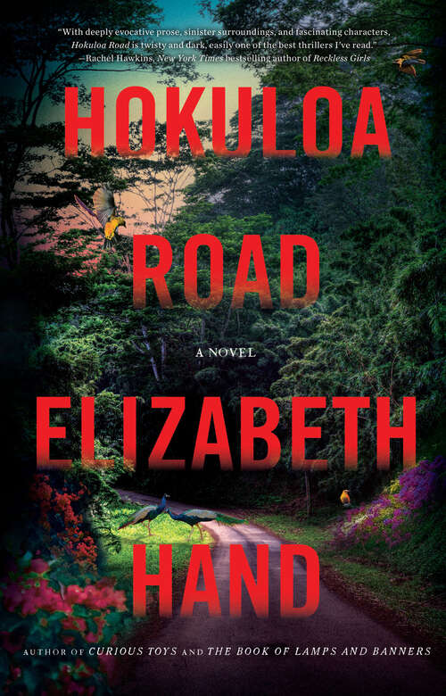 Book cover of Hokuloa Road: A Novel