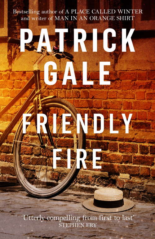 Book cover of Friendly Fire: A Novel