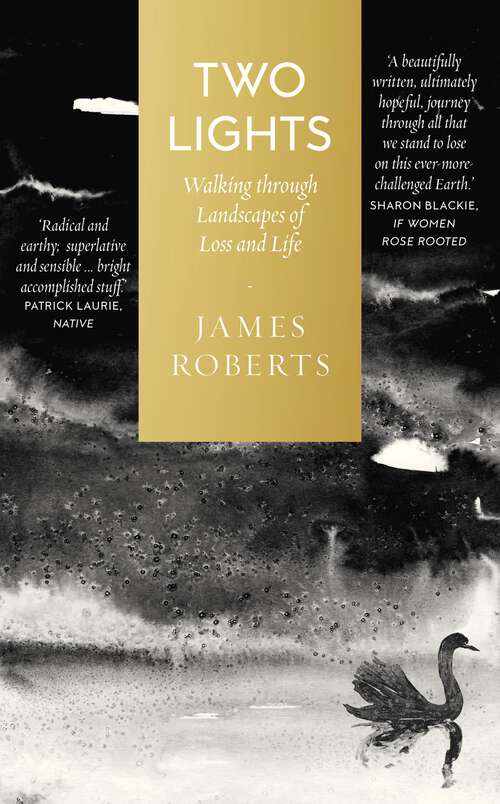 Book cover of Two Lights: Walking Through Landscapes of Loss and Life