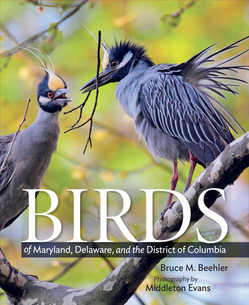 Book cover of Birds of Maryland, Delaware, and the District of Columbia