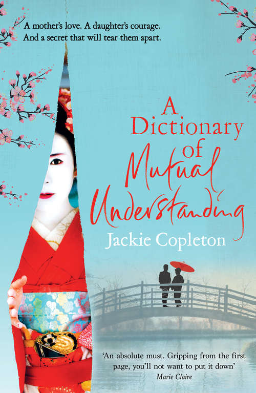 Book cover of A Dictionary of Mutual Understanding: The compelling Richard and Judy Summer Book Club winner