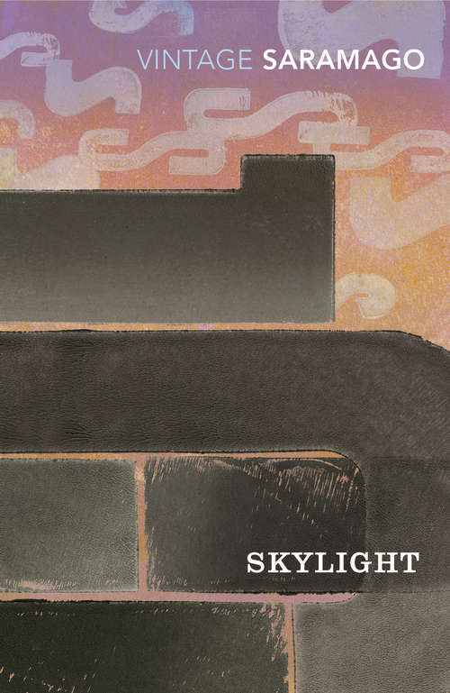 Book cover of Skylight