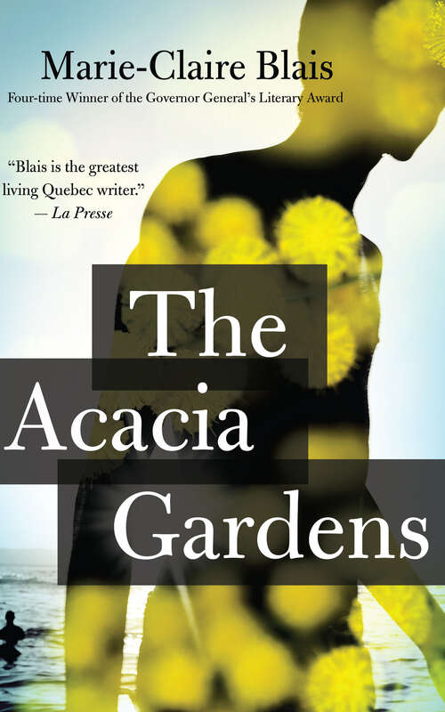 Book cover of The Acacia Gardens