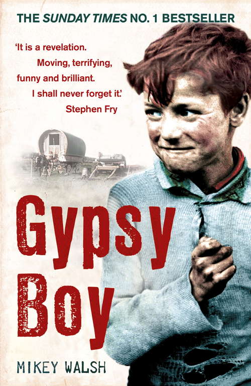 Book cover of Gypsy Boy: The bestselling memoir of a Romany childhood (Gypsy Boy Ser. #1)