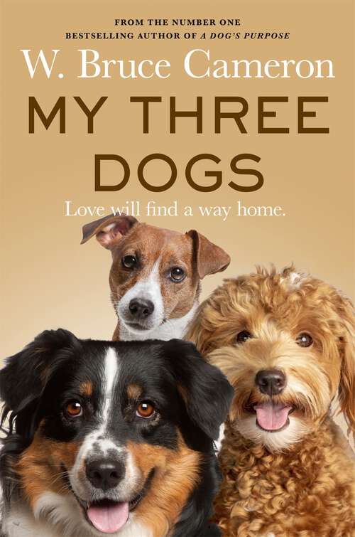 Book cover of My Three Dogs: A Heartwarming Tale about Friendship, Family and Finding Home, from the Author of A Dog's Purpose