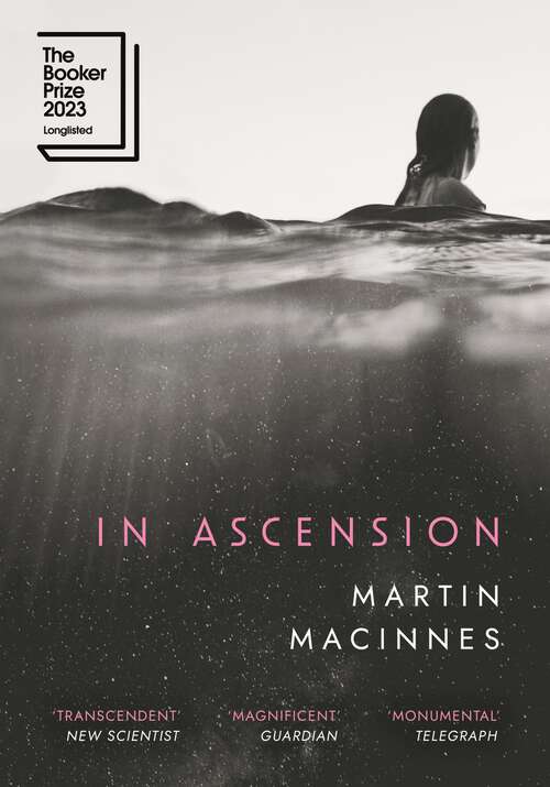 Book cover of In Ascension: 'Magnificent' Guardian (Main)