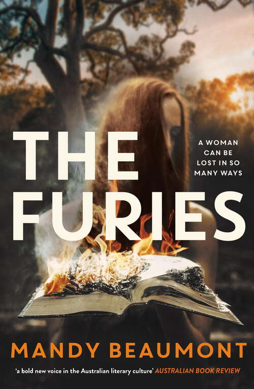 Book cover of The Furies