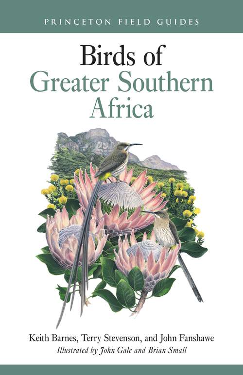 Book cover of Birds of Greater Southern Africa (Princeton Field Guides #163)