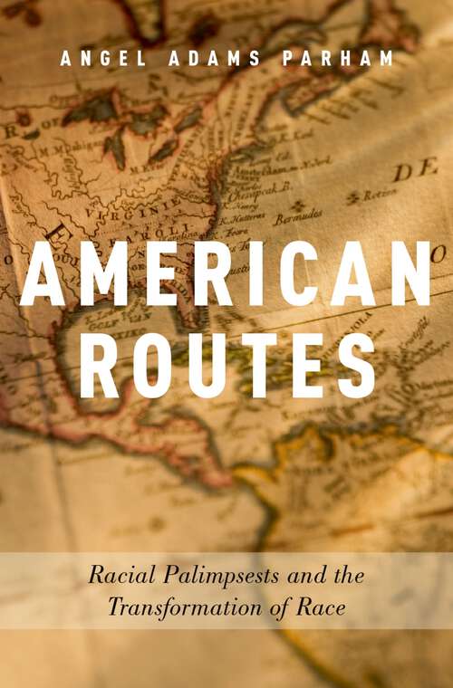 Book cover of American Routes: Racial Palimpsests and the Transformation of Race