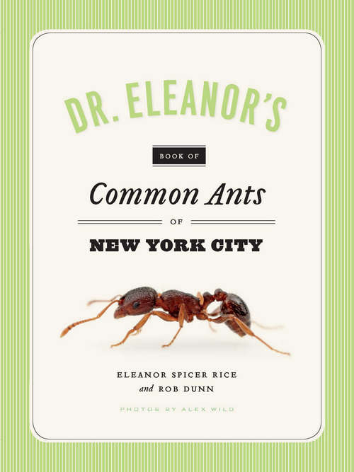 Book cover of Dr. Eleanor's Book of Common Ants of New York City