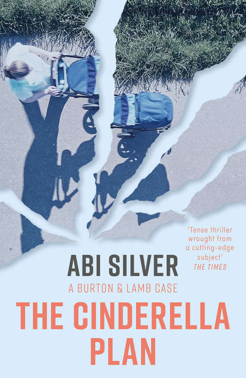 Book cover of The Cinderella Plan: A legal thriller with a topical AI twist (Burton and Lamb Legal Thrillers #3)