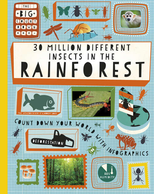 Book cover of 30 Million Different Insects in the Rainforest (The Big Countdown #2)