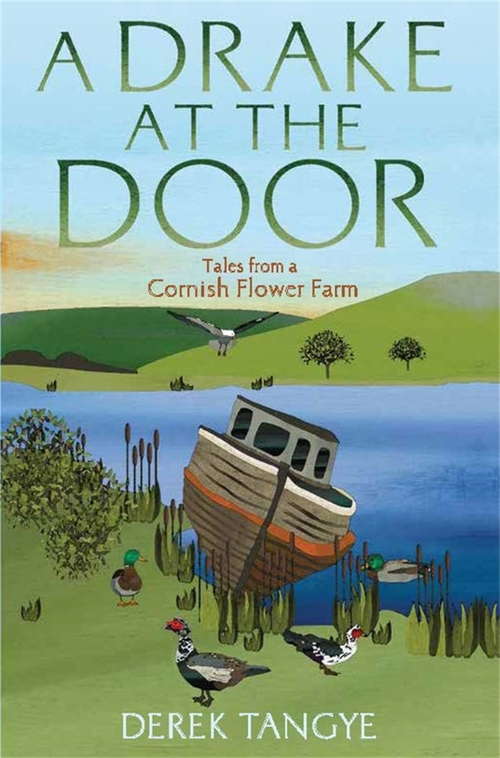 Book cover of A Drake at the Door: Tales from a Cornish Flower Farm (Minack Chronicles #3)