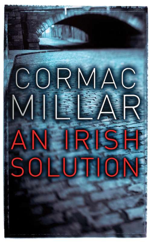Book cover of An Irish Solution