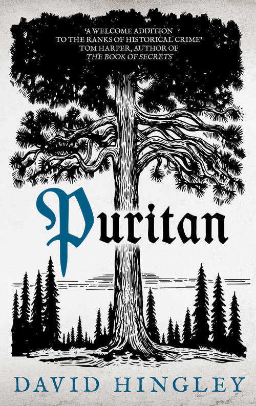 Book cover of Puritan (Mercia Blakewood)