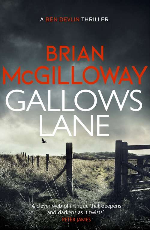 Book cover of Gallows Lane: An ex con and drug violence collide in the borderlands of Ireland... (2) (Ben Devlin #2)