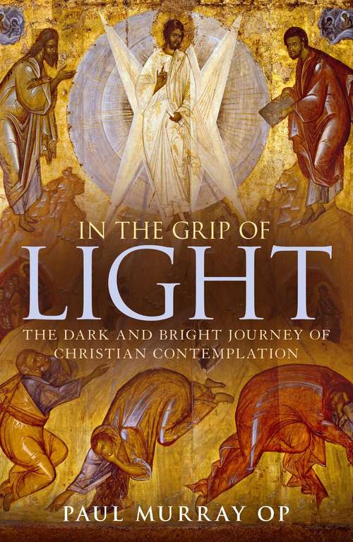 Book cover of In the Grip of Light: The Dark and Bright Journey of Christian Contemplation