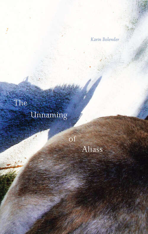 Book cover of The Unnaming of Aliass