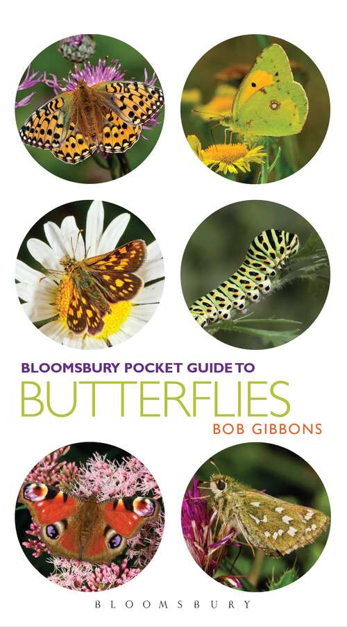 Book cover of Pocket Guide to Butterflies (Pocket Guides)