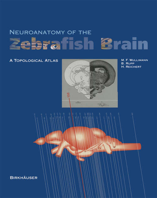 Book cover of Neuroanatomy of the Zebrafish Brain: A Topological Atlas (1996)