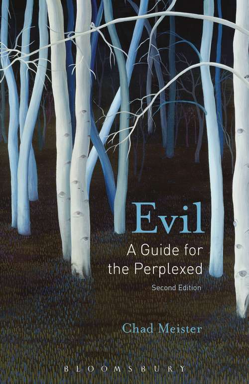 Book cover of Evil: A Guide For The Perplexed (2) (Guides for the Perplexed)