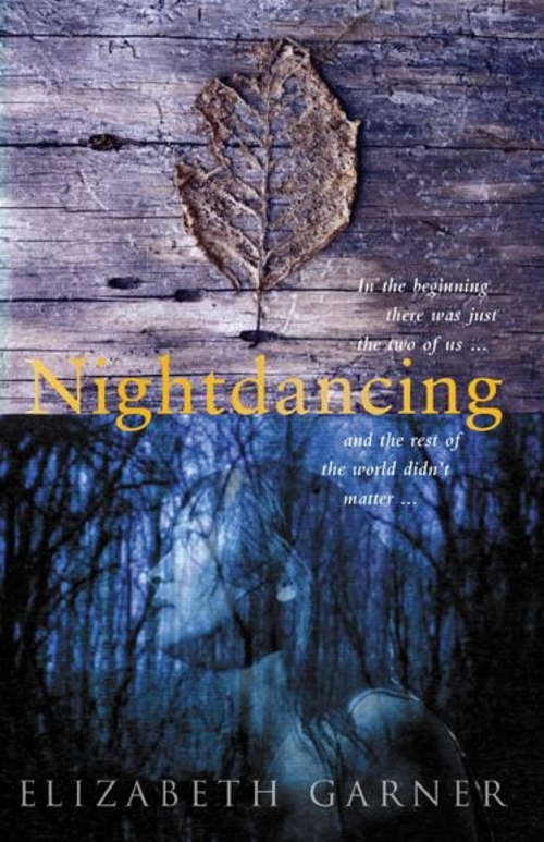 Book cover of Nightdancing