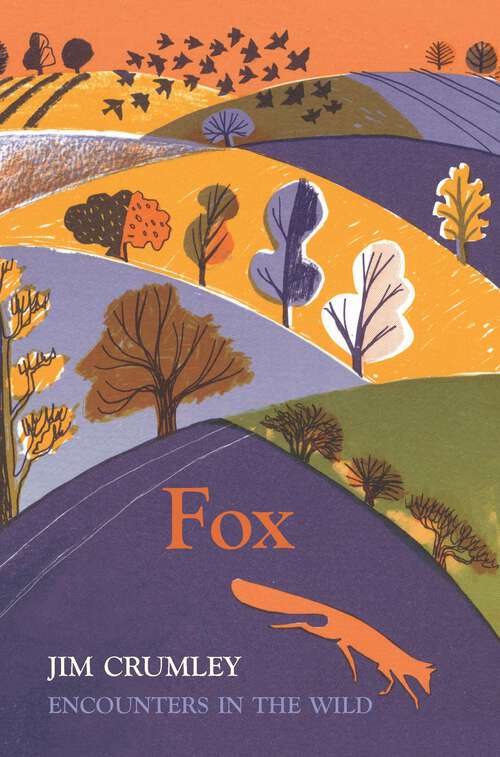 Book cover of Fox: Encounters in the Wild (Encounters In The Wild Ser.)