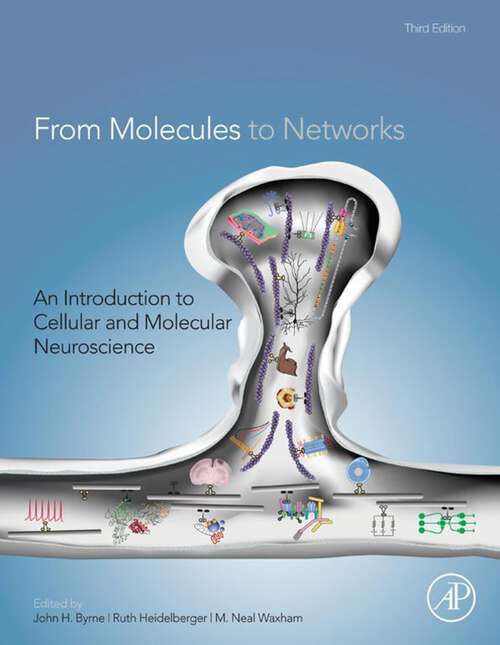 Book cover of From Molecules to Networks: An Introduction to Cellular and Molecular Neuroscience (3)