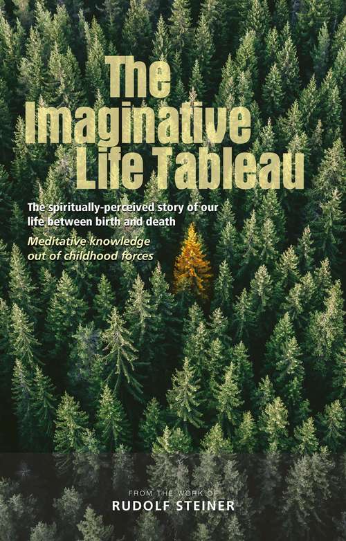 Book cover of The Imaginative Life Tableau: The spiritually-percieved story of our life between birth and death. Meditative knowledge out of childhood forces.
