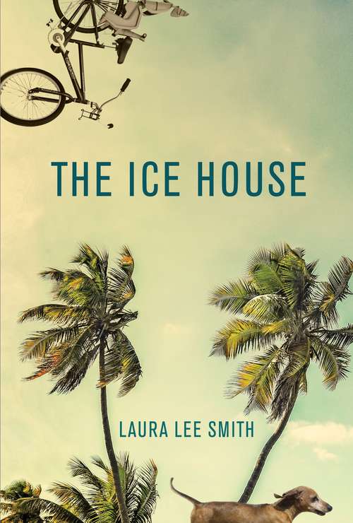Book cover of The Ice House (Main) (Books That Changed The World Ser.)