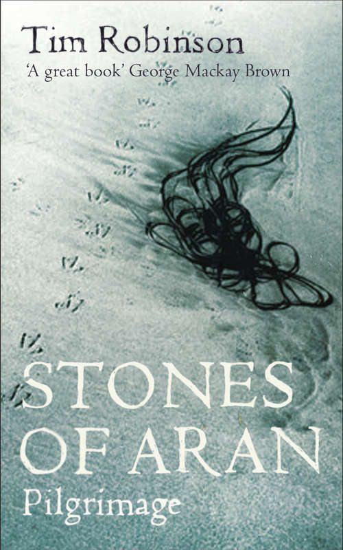 Book cover of Stones of Aran: Pilgrimage (Main) (Stones Of Aran Ser.)