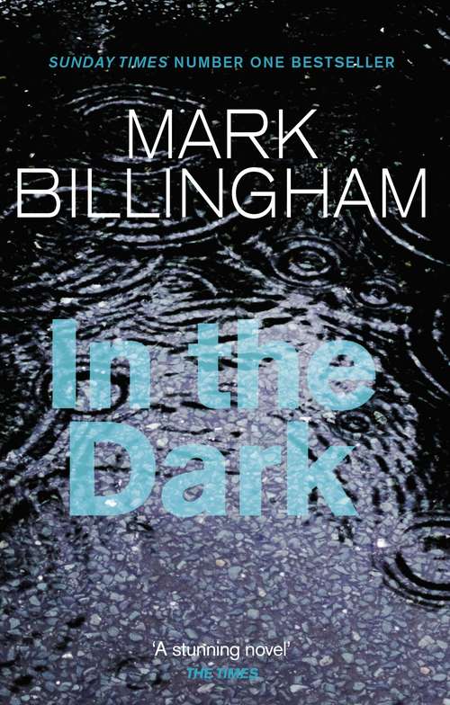 Book cover of In The Dark