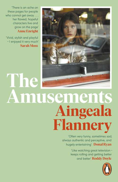 Book cover of The Amusements