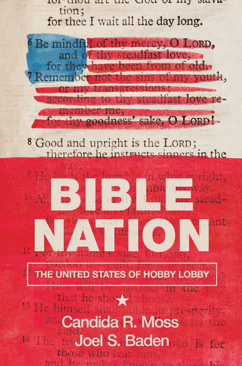 Book cover of Bible Nation: The United States of Hobby Lobby (PDF)
