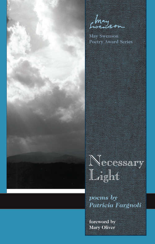 Book cover of Necessary Light (Swenson Poetry Award #3)