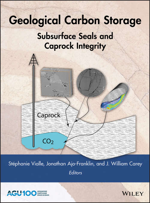 Book cover of Geological Carbon Storage: Subsurface Seals and Caprock Integrity (Geophysical Monograph Series #238)