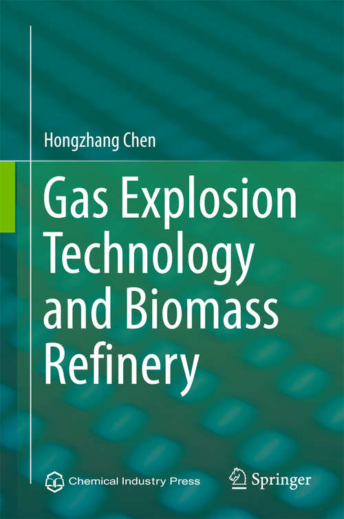 Book cover of Gas Explosion Technology and Biomass Refinery (1st ed. 2015)