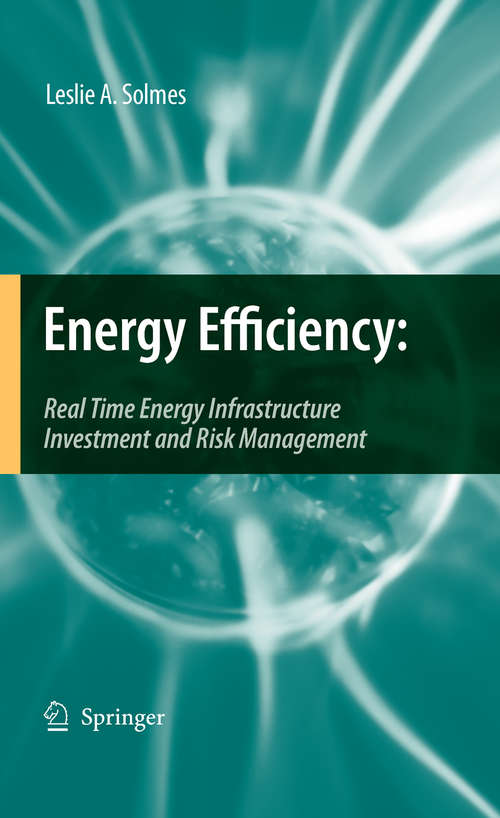 Book cover of Energy Efficiency: Real Time Energy Infrastructure Investment and Risk Management (2009)