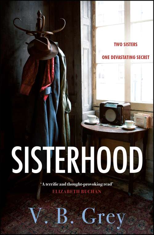 Book cover of Sisterhood: A heartbreaking mystery of family secrets and lies