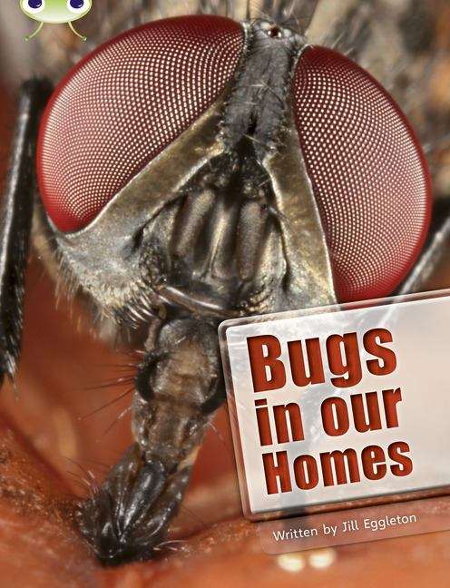 Book cover of Bug Club: NF Lime A/3C Bugs in our Homes (PDF)