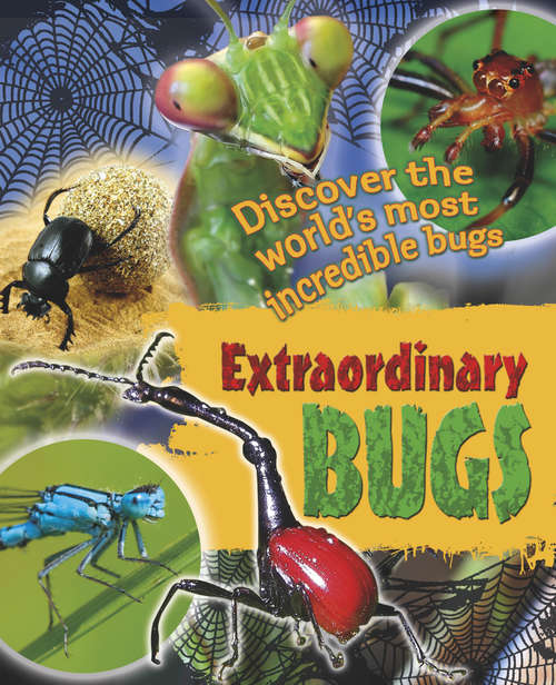 Book cover of Extraordinary Bugs (PDF)