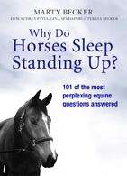 Book cover of Why Do Horses Sleep Standing Up?: 101 Of The Most Perp;exing Equine Questions Answered