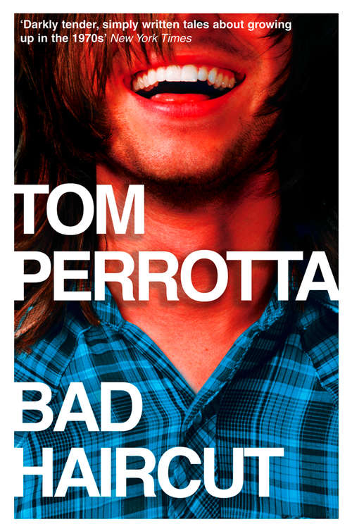 Book cover of Bad Haircut: Stories Of The Seventies (ePub edition)