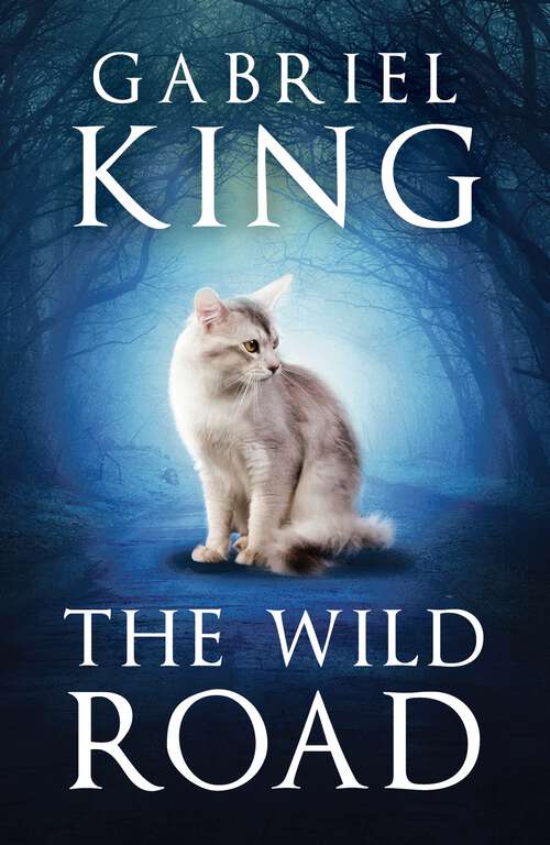 Book cover of The Wild Road: A Novel (Wild Road #1)