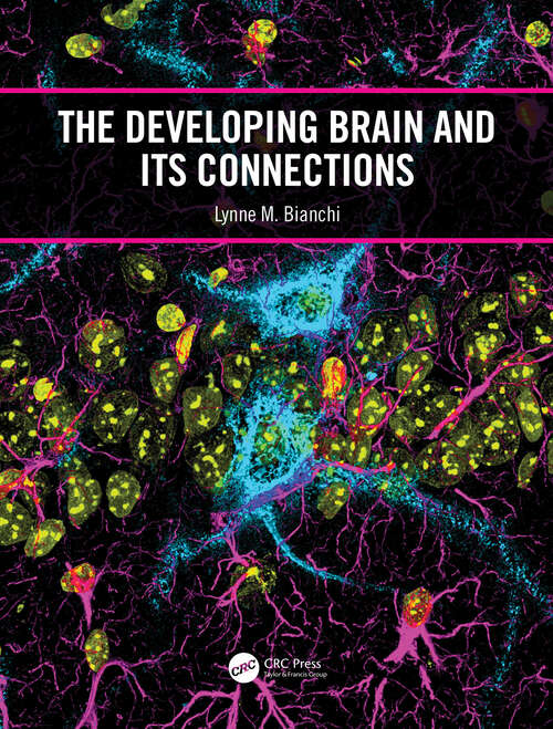 Book cover of The Developing Brain and its Connections